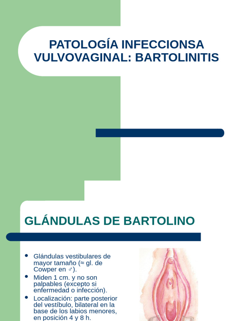 Bartolinitis: Diagnóstico y Tratamiento | PDF | Medicina CLINICA ...