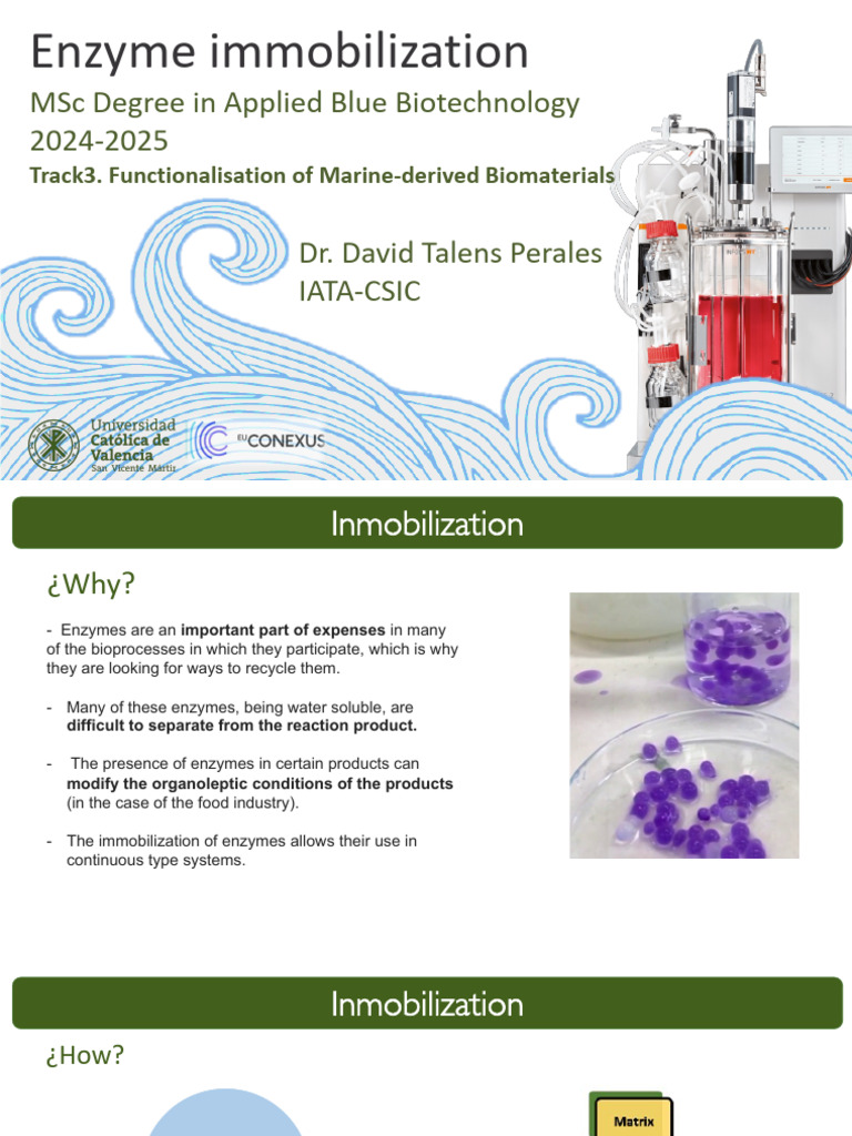Enzyme Immobilization Techniques Overview | PDF | Biopolymer | Enzyme