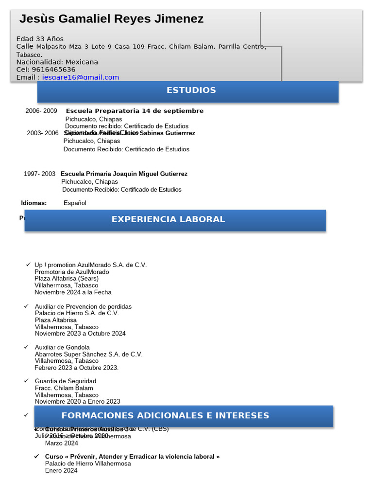 Perfil Profesional de Gamaliel Reyes | PDF