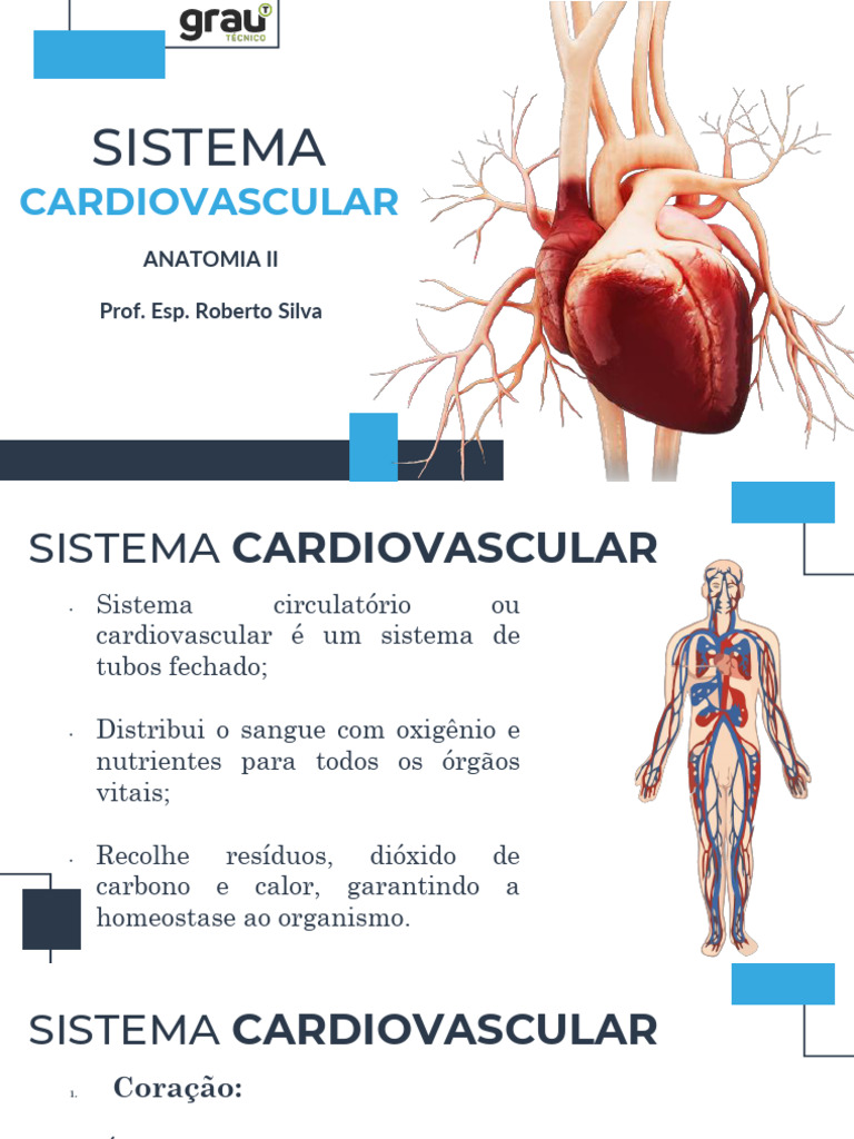 Anatomia do Sistema Cardiovascular | PDF | Coração | Sistema circulatório