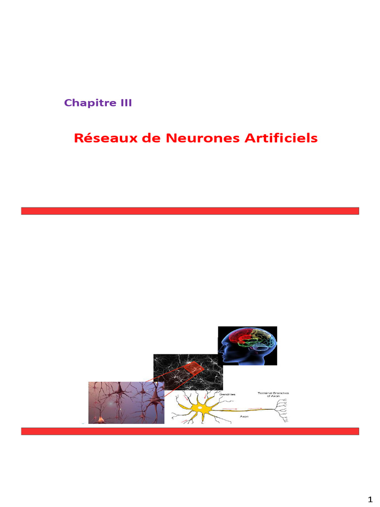 Neurones et Perceptrons Artificiels | PDF | Réseau de neurones ...
