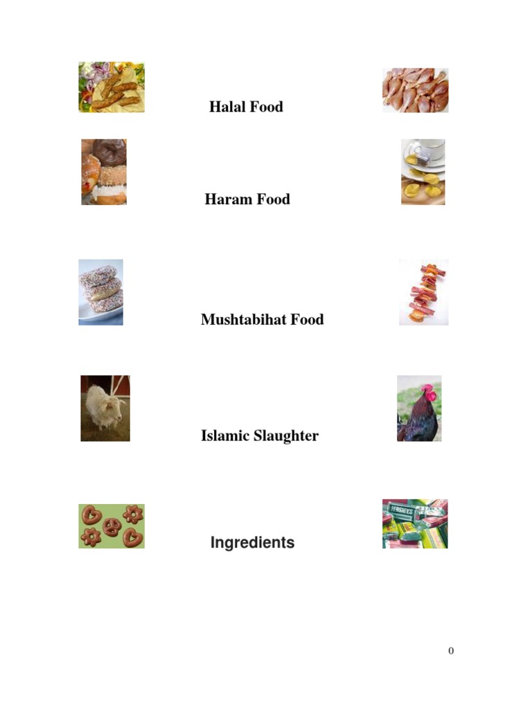 Halal 2 PDF Gelatin Glycerol