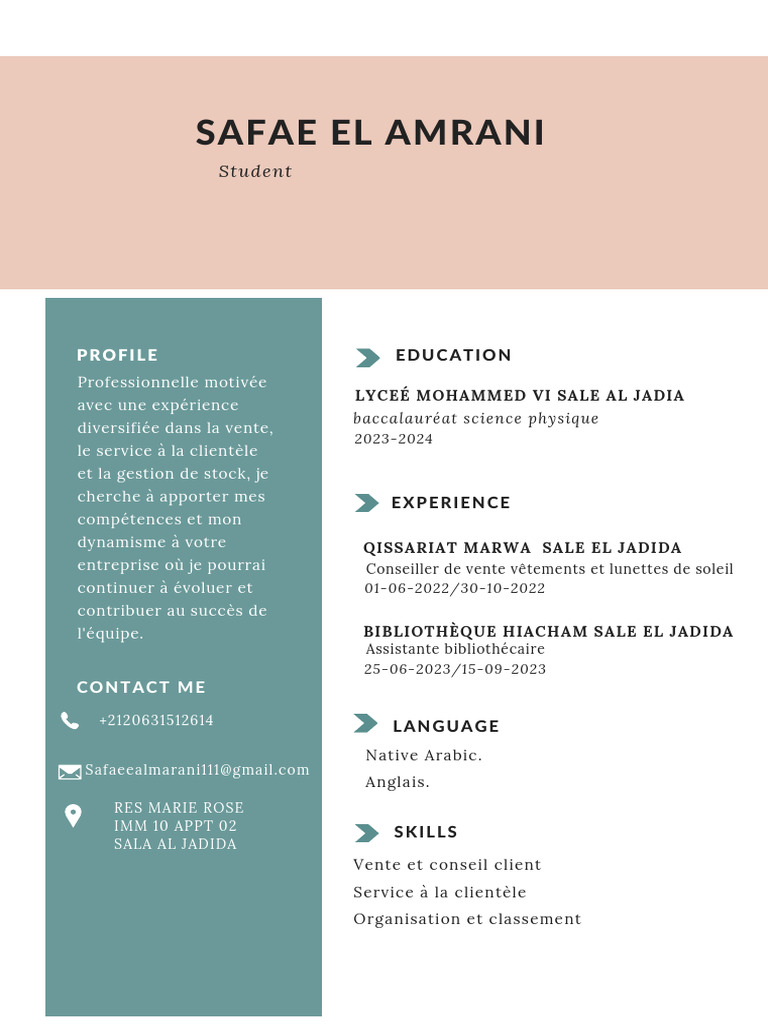 Profil de Safae El Amrani | PDF