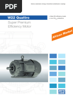 WEG w22 Three Phase Induction Motor Technical African Market
