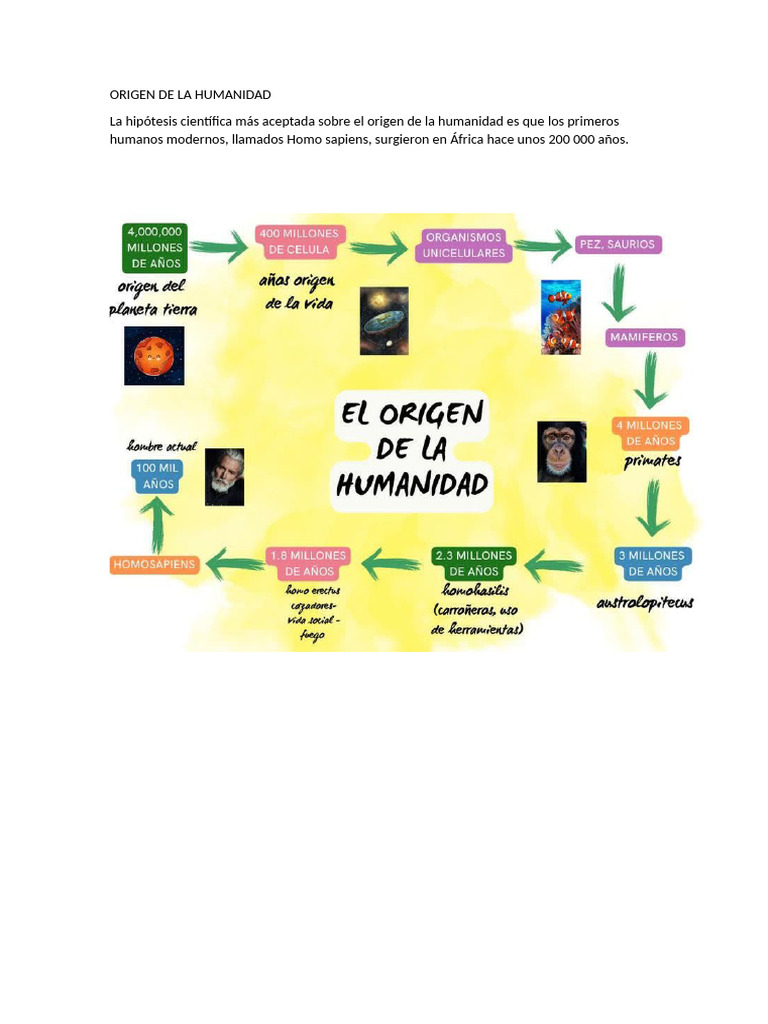 Origen de la humanidad: Homo sapiens | PDF