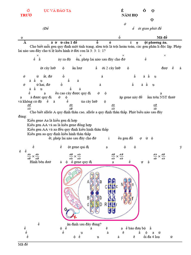 Ma de 101 | PDF
