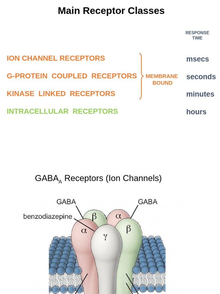 Receptors As Drug Targets | PDF | Receptor (Biochemistry) | Receptor ...