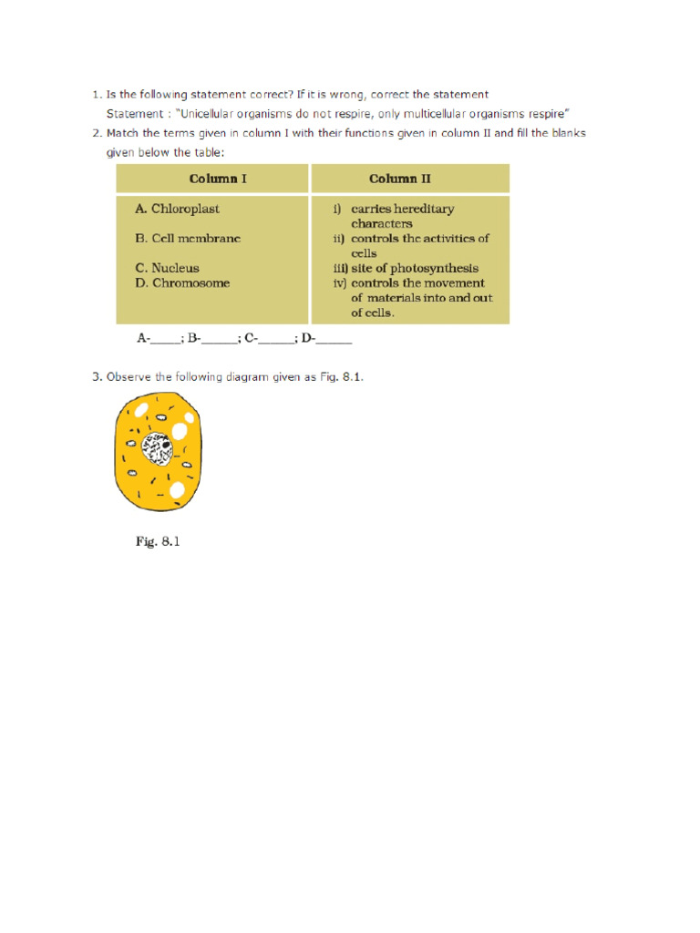Chapter 8 - Cell - Structure and Functions | PDF