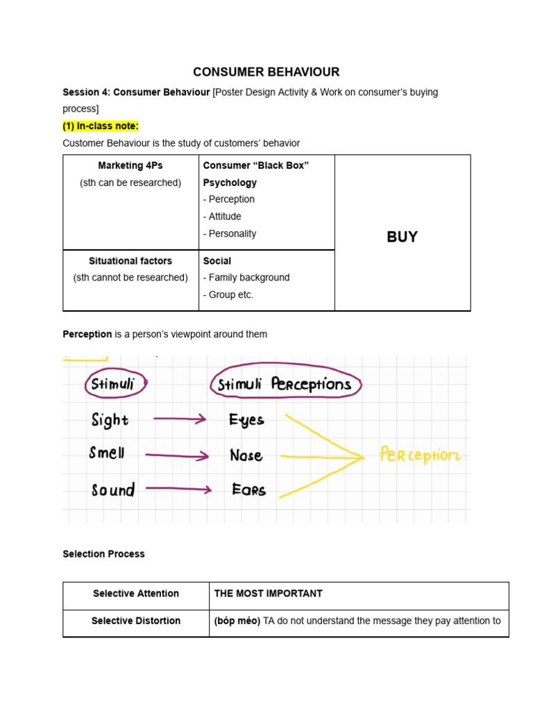 Understanding Consumer Behavior Insights | PDF