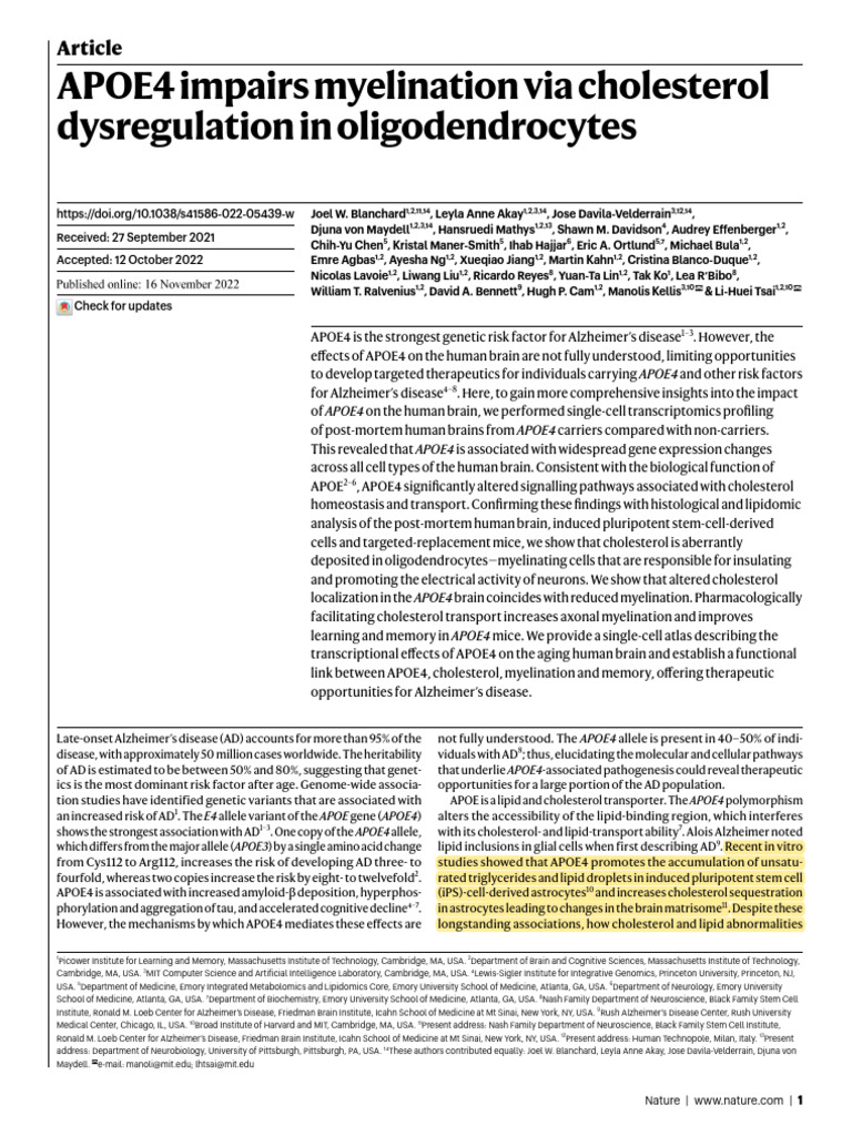 APOE4 Impairs Myelination Via Cholesterol | PDF | Apolipoprotein E ...
