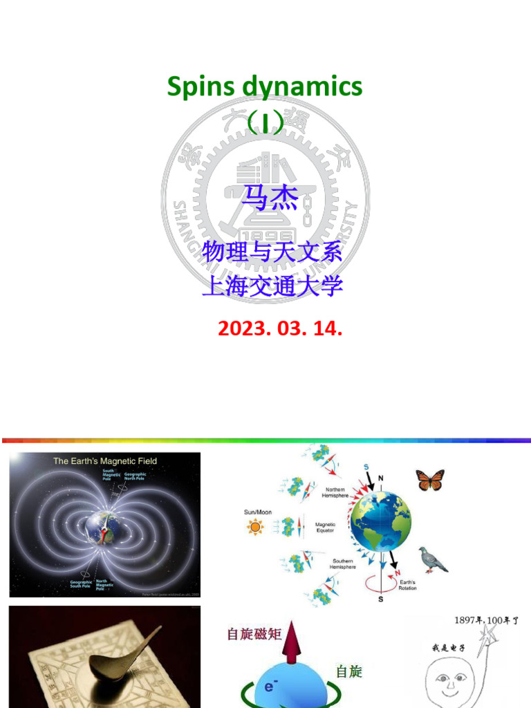 Spin Dynamics in Magnetism Explained | PDF | Ferromagnetism | Magnetism