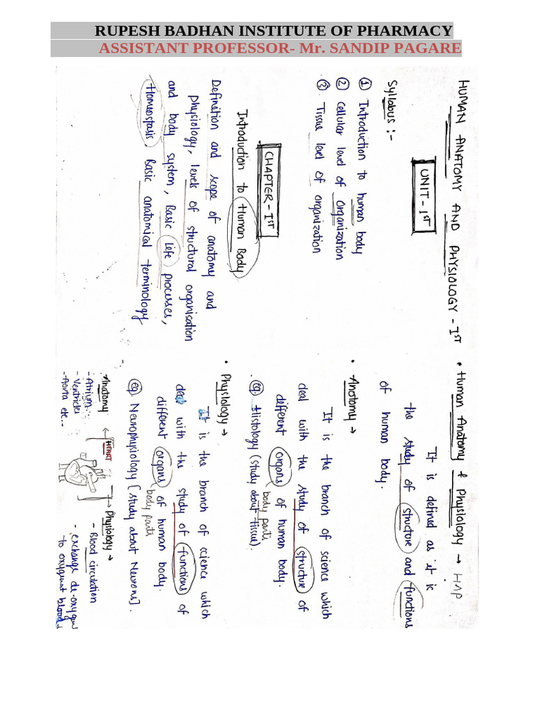 Chapter 1 Unit 1 Human Anatomy And Physiology 1 B Pharmacy 1st Sem