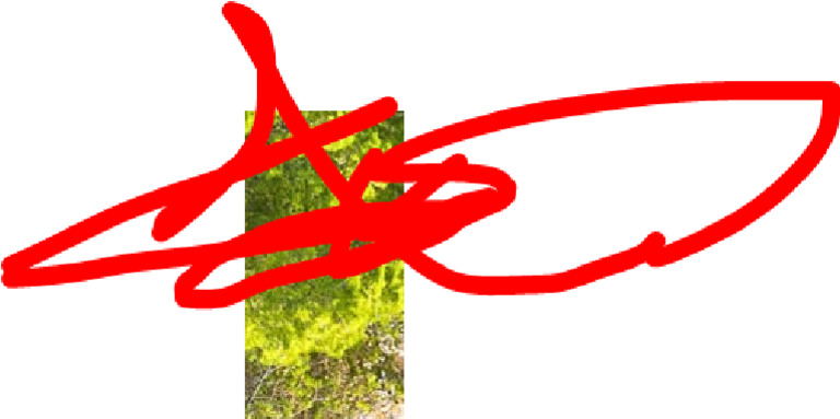 RRRRRRR | PDF