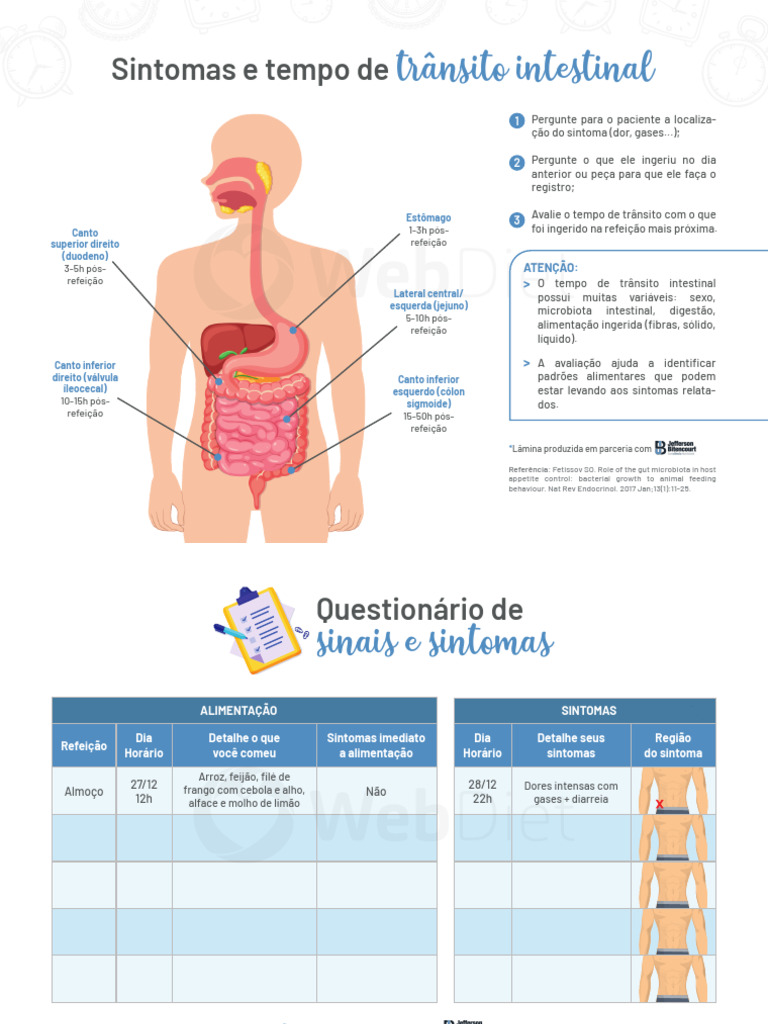 Avaliação do Trânsito Intestinal | PDF | Trato gastrointestinal | Anatomia