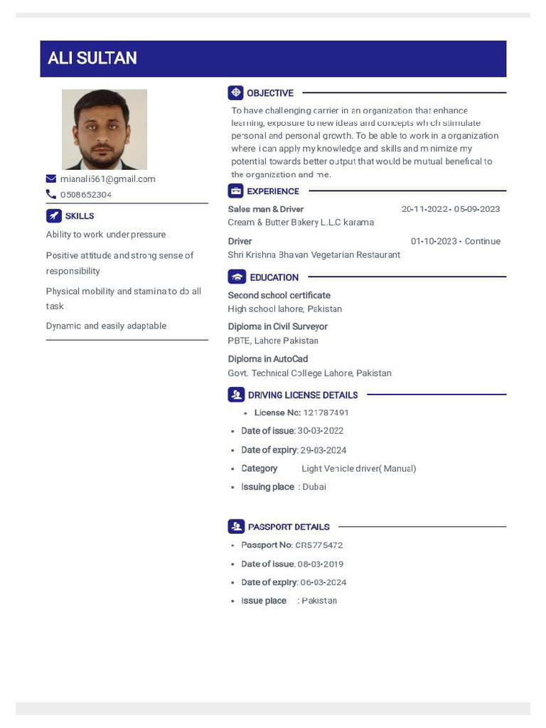 Mamun CV Demo | PDF
