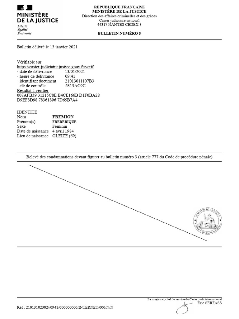 Bulletin de casier judiciaire n°3 | PDF