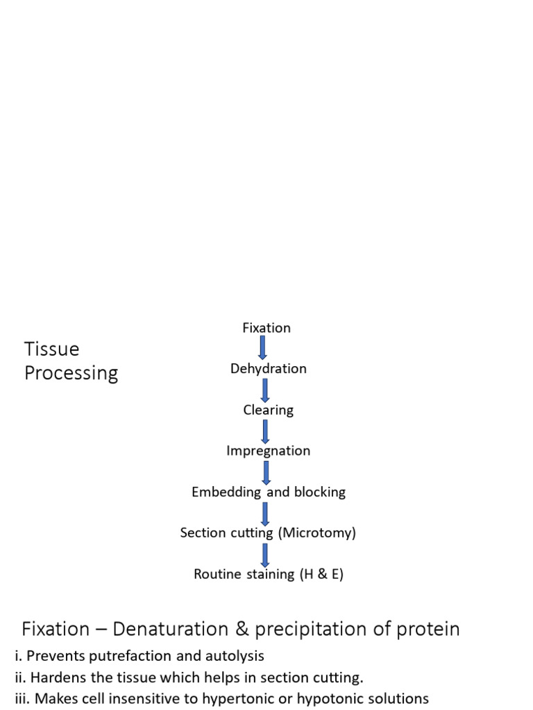 Revision | PDF | Fixation (Histology) | Microscopy