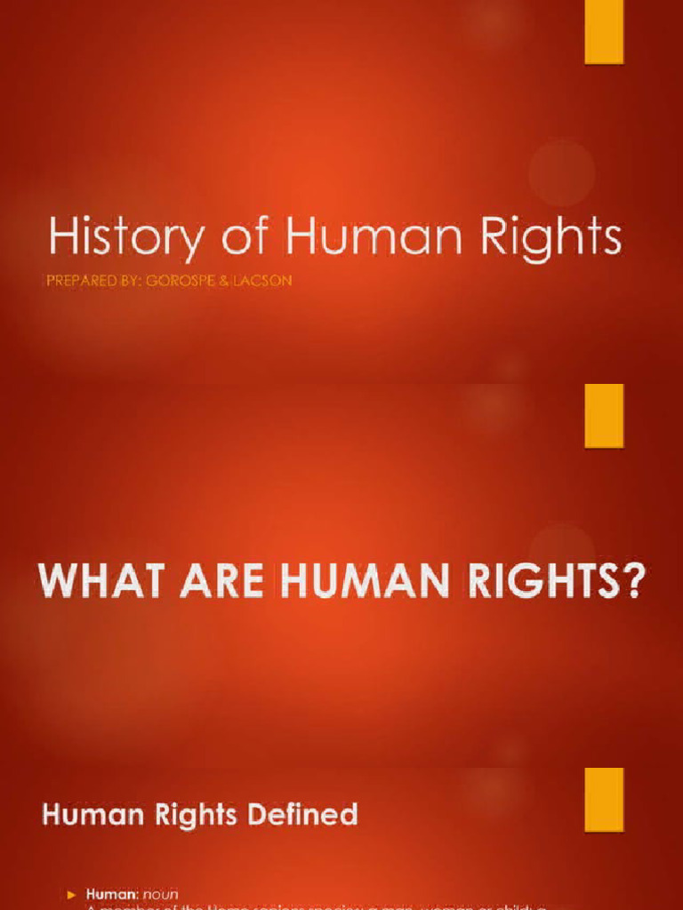 Human Rights | PDF