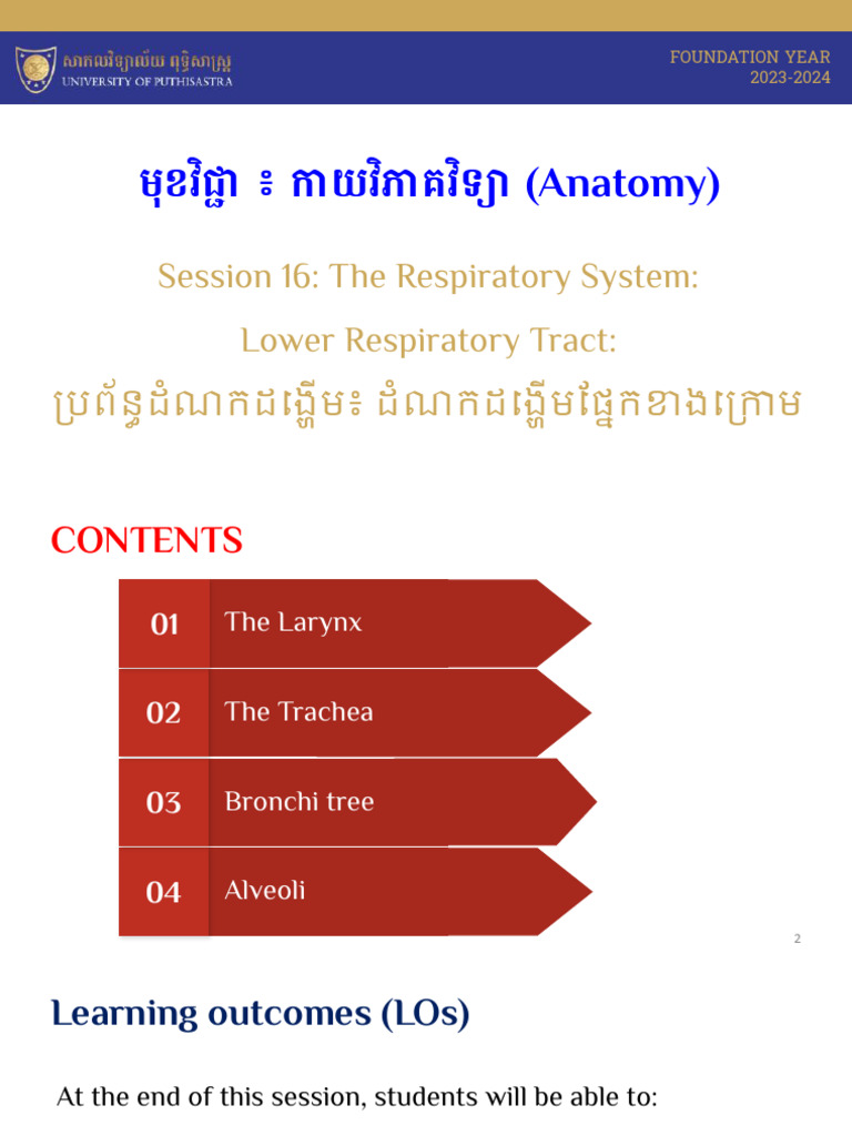 S16-The Respiratory System_ Lower Respiratory Tract | PDF | Larynx ...