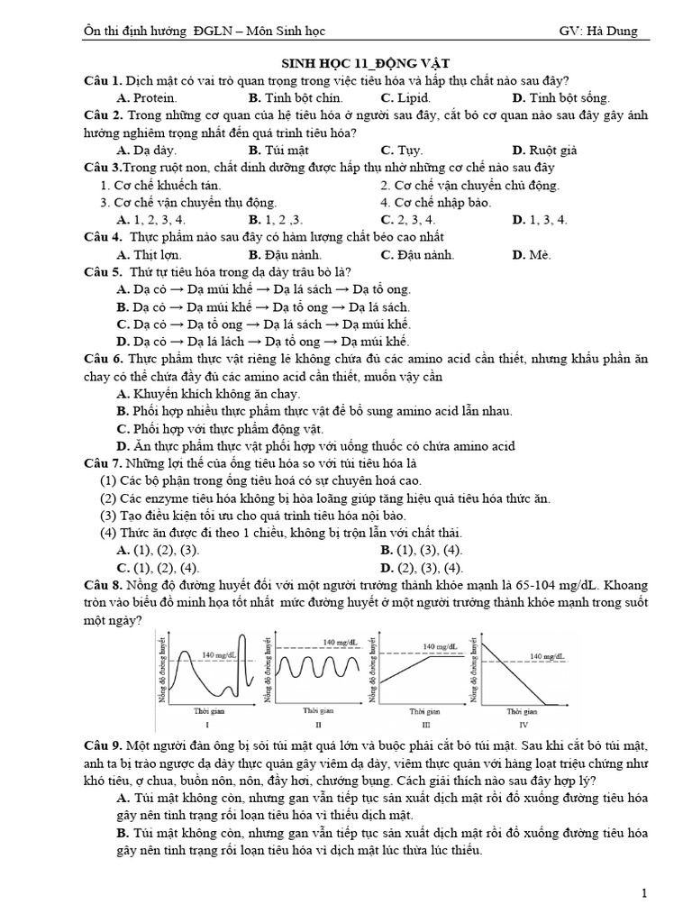 Bai Tap Buoi 2 SH11 Ong Vat | PDF