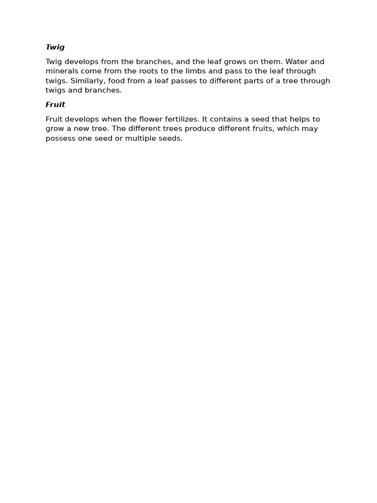 Mrym | PDF