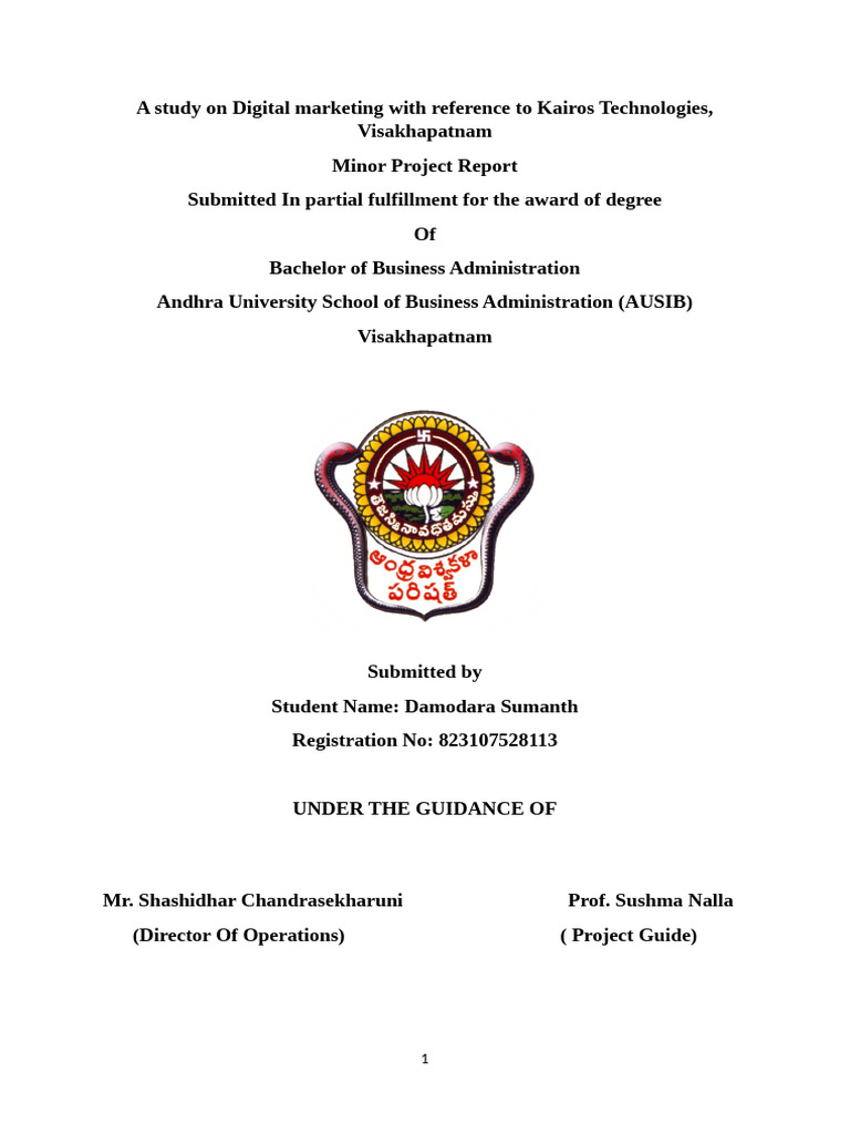 Minor Project Internship Report - Docx 2 | PDF | Digital Marketing ...