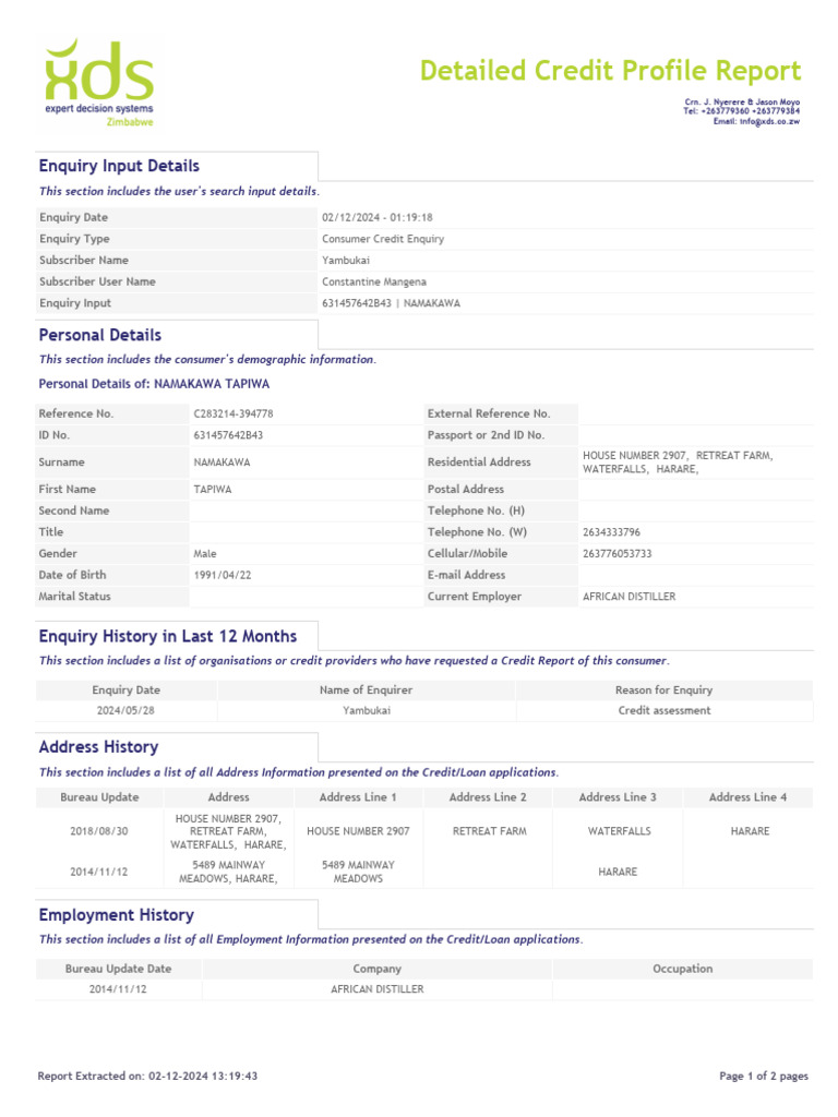 Comprehensive Credit Profile Report | PDF | Service Industries | Computing