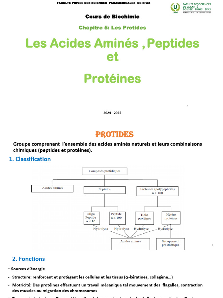 Biochimie des Protides : Acides Aminés et Protéines | PDF | Structure ...