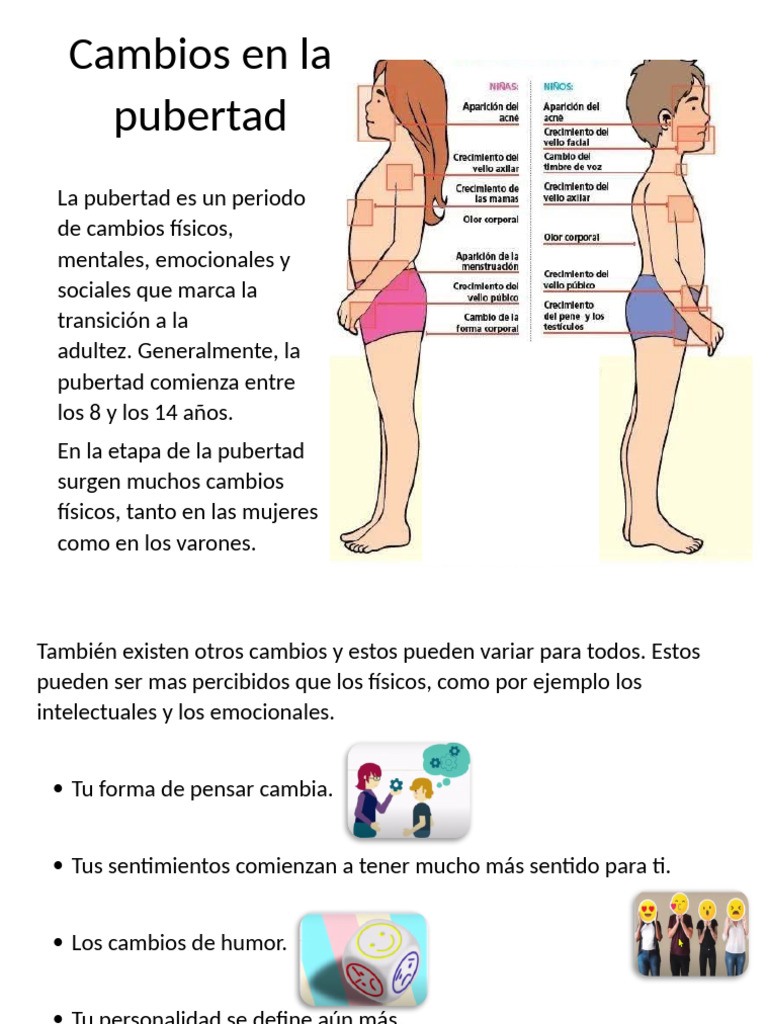 Cambios físicos y emocionales en la pubertad | PDF
