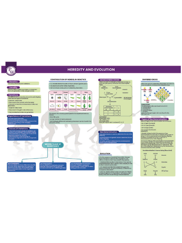 Heredity and Evolution Mind Map Biology671781827894c5924144fdd2 | PDF