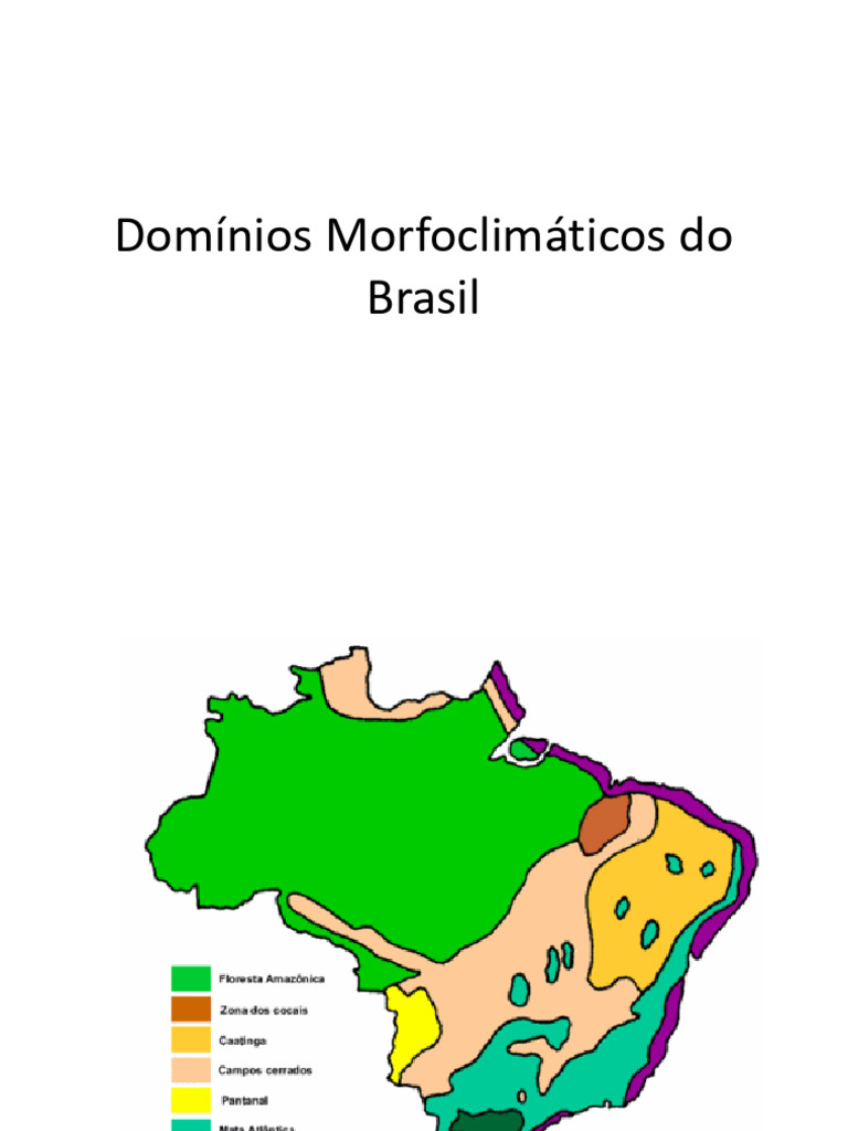 Biomas Brasileiros e sua Biodiversidade | PDF | Floresta Amazônica ...