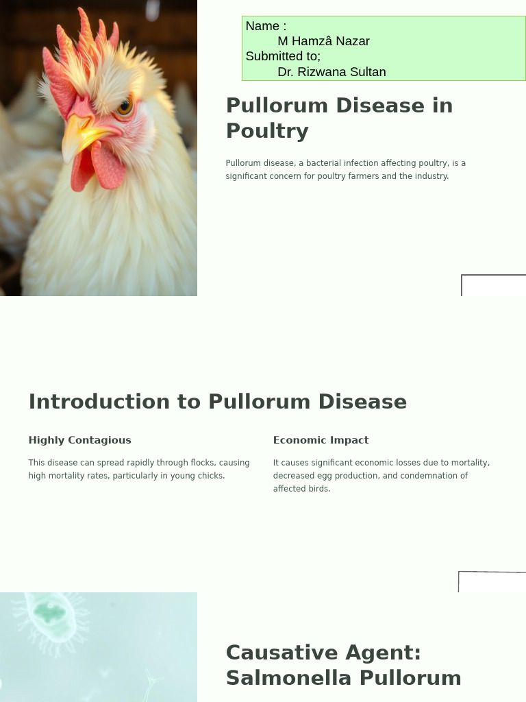 Pullorum-Disease (Poultry Pathology) | PDF | Infection | Salmonella