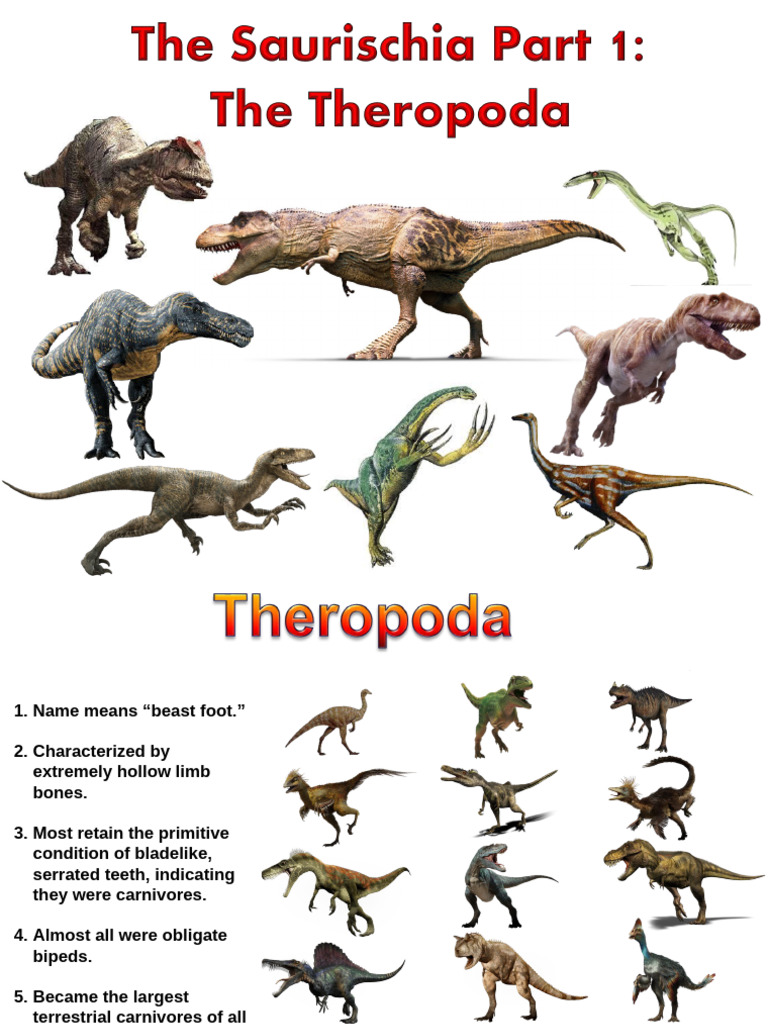 7.1 Intro To Theropods + Certaosaurs | PDF | Mesozoic Dinosaurs