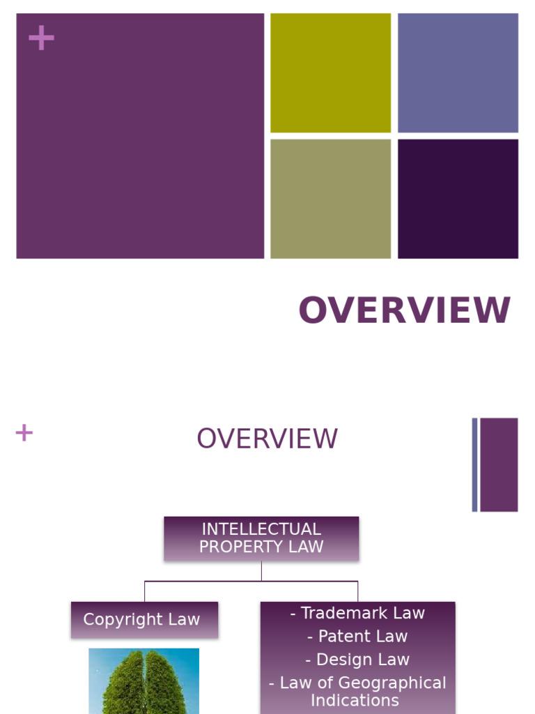 Overview | PDF | Patent | Prior Art