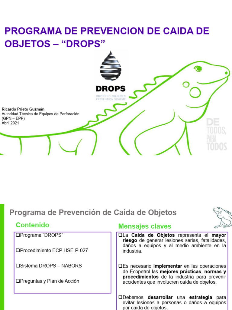 Prevención de Caída de Objetos: Programa DROPS | PDF