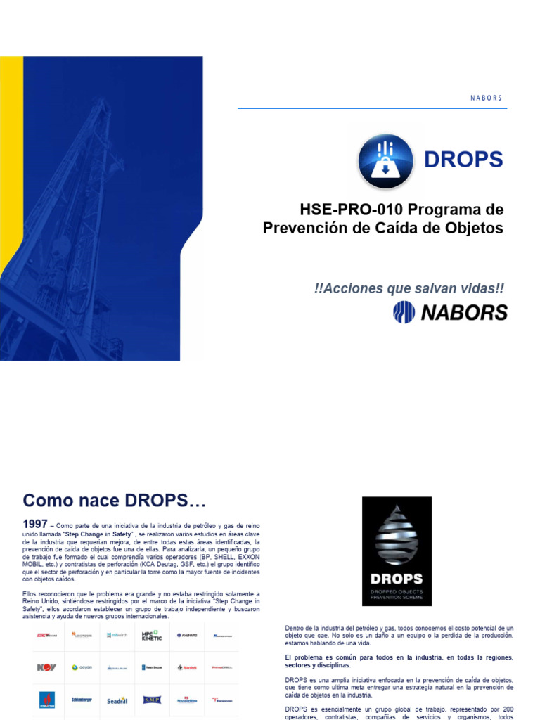 Presentadion DROPS NBR 042321 | PDF