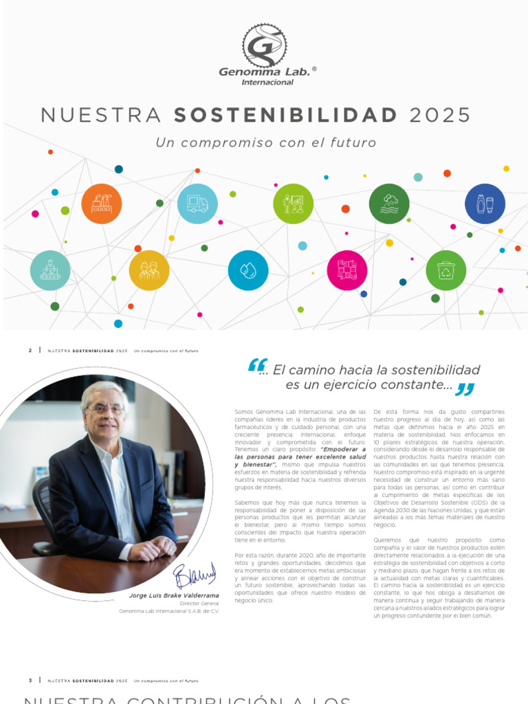 Estrategia de Sostenibilidad 2025 | PDF | Sustentabilidad | Reciclaje
