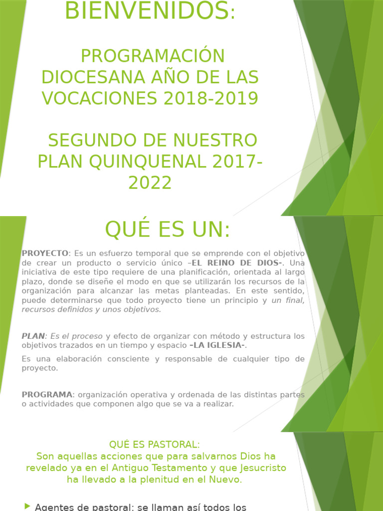 Plan Diocesano de Pastoral 2018-2019 | PDF | Jesús | Iglesia Católica