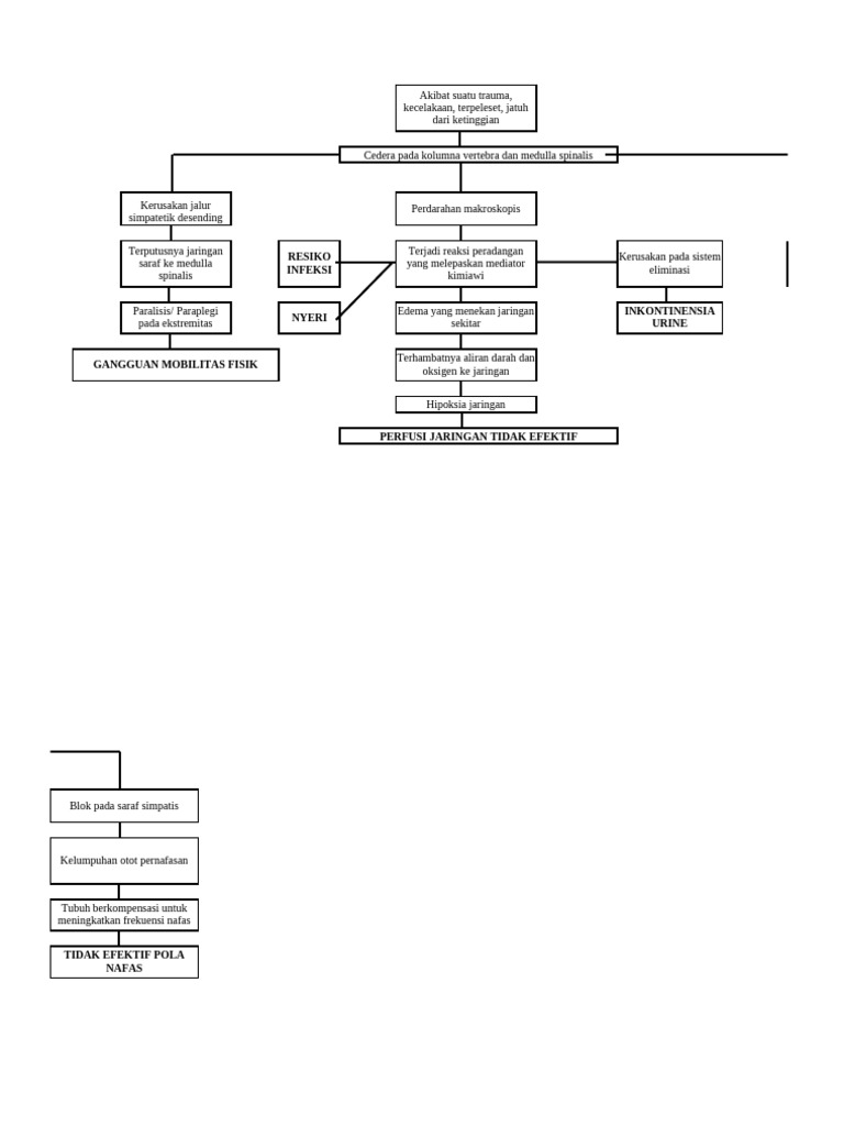 Cedera Kolumna Vertebra: Gejala dan Risiko | PDF