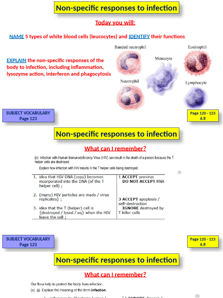 6.8 Non-Specific Responses To Infection | PDF | Lymphatic System ...