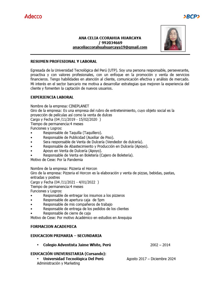 Modelo de CV BCP 1 | PDF | Business