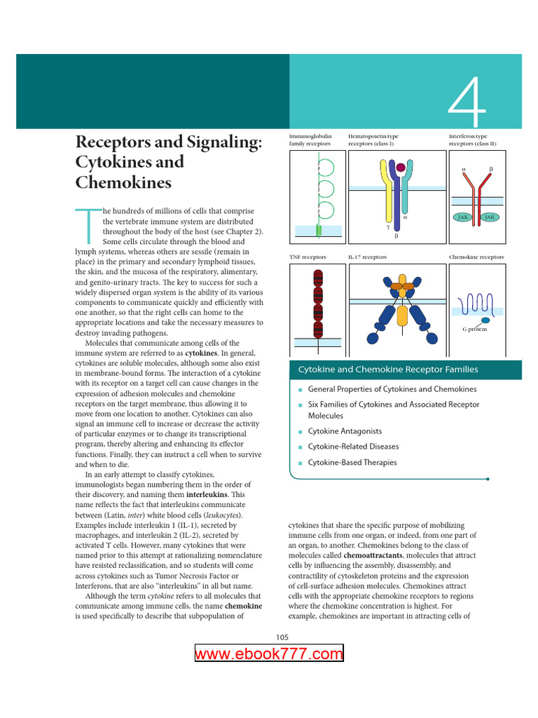 Cytokines and Chemokines Overview | PDF | Cytokine | T Helper Cell