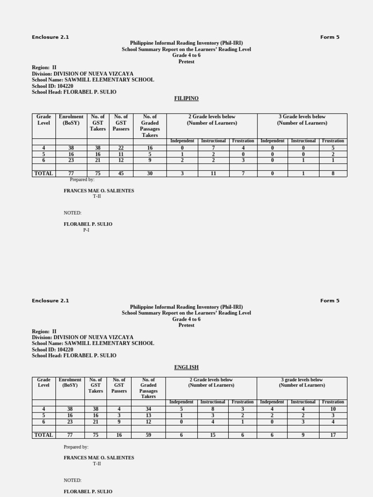 Phil-IRI Form 5 School Summary Report | PDF | Learning | Pedagogy