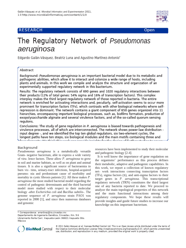 Regulatory Network of Pseudomonas aeruginosa | PDF | Pseudomonas ...