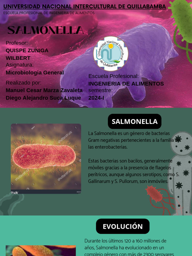 Salmonella: Características y Control Microbiológico | PDF | Salmonela ...