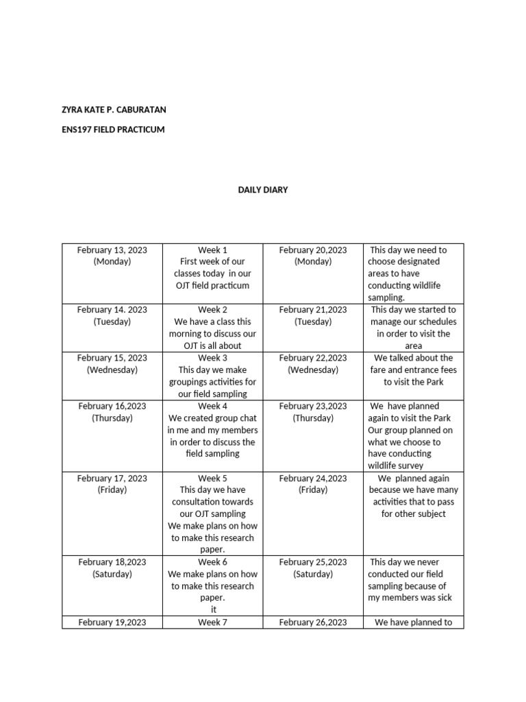 Daily diary pdf
