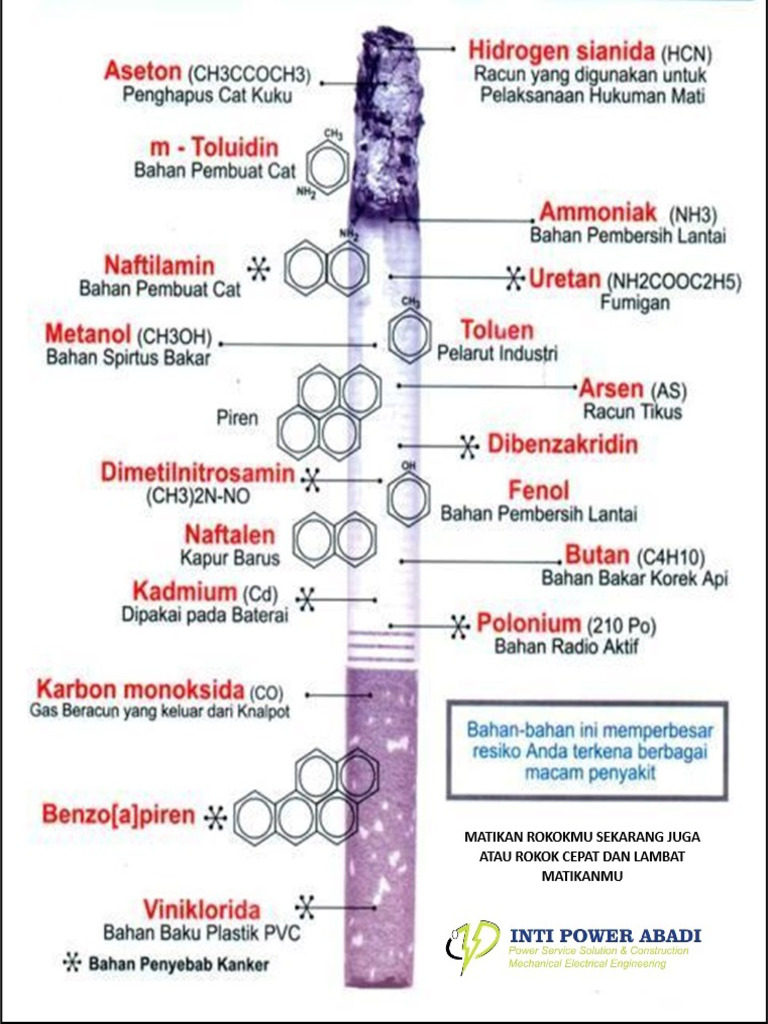 ROKOK | PDF
