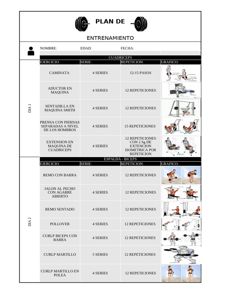Plan de Entrenamiento de Fuerza | PDF | Deportes atléticos