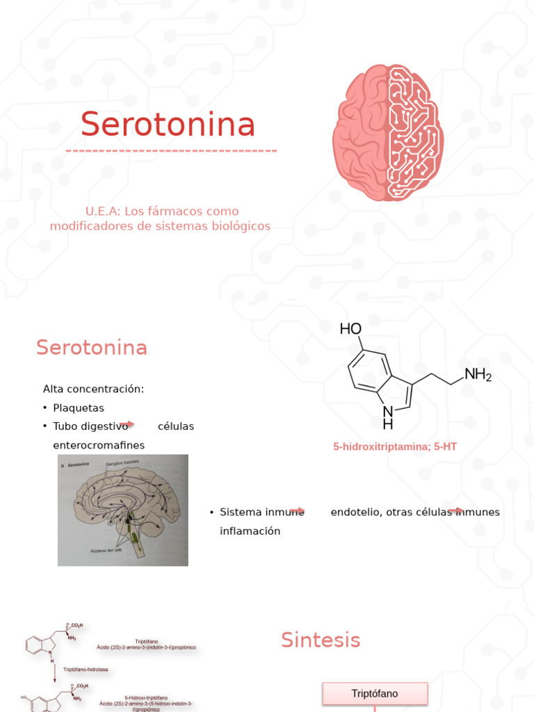 Serotonina | PDF | Serotonina | Medicina CLINICA