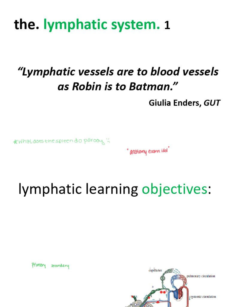 Lymphatic+System+2023 24 Canvas | PDF | Lymphatic System | Lymphocyte